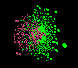 Animation