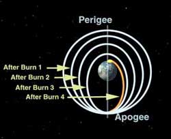 Orbits