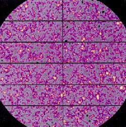 Deep field