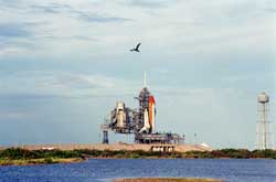 On pad