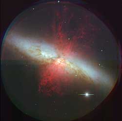 M82