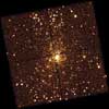 Orion