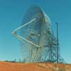 Dish