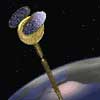ORBCOMM