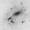 Galaxy
