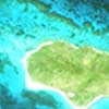 Reef