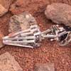 Frogbot