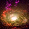Circinus