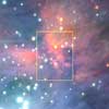 Orion