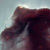 Horsehead