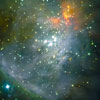 Orion