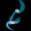 Andromeda
