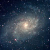 M33