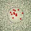 Cluster
