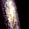 Universe