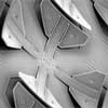 Microcilia