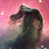 Horsehead