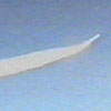 Pegasus