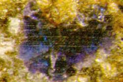 Meteorite