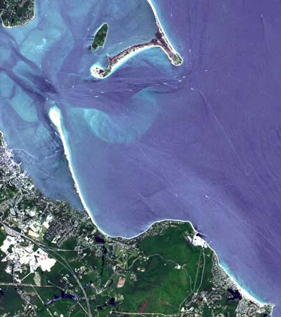 Cape Cod