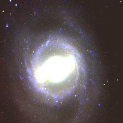 M95