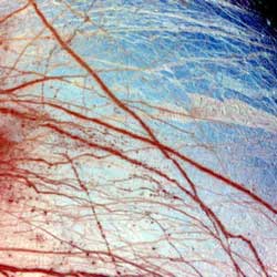 Europa