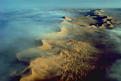 Namibian desert