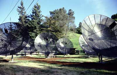 Dishes