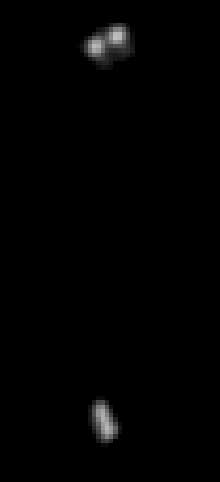 Asteroids