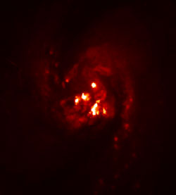HST