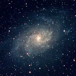 M33