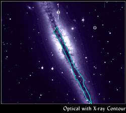 Optical