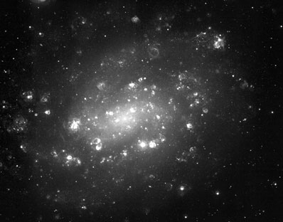 NGC 300