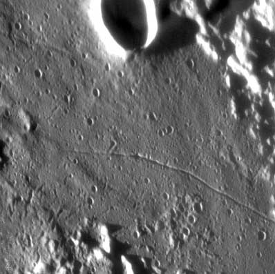 Taruntius