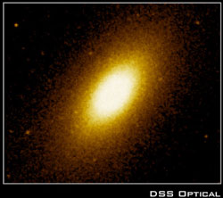 DSS