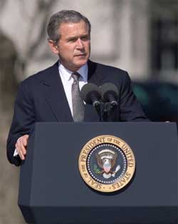 Bush